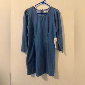 Blue Denim Dress